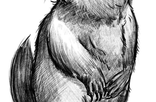 Annual Grundsau Lodsch fer Yunge (Groundhog Lodge for the Young)