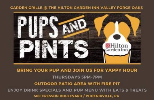 Pups and Pints