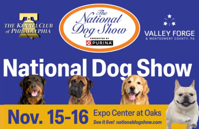 The National Dog Show