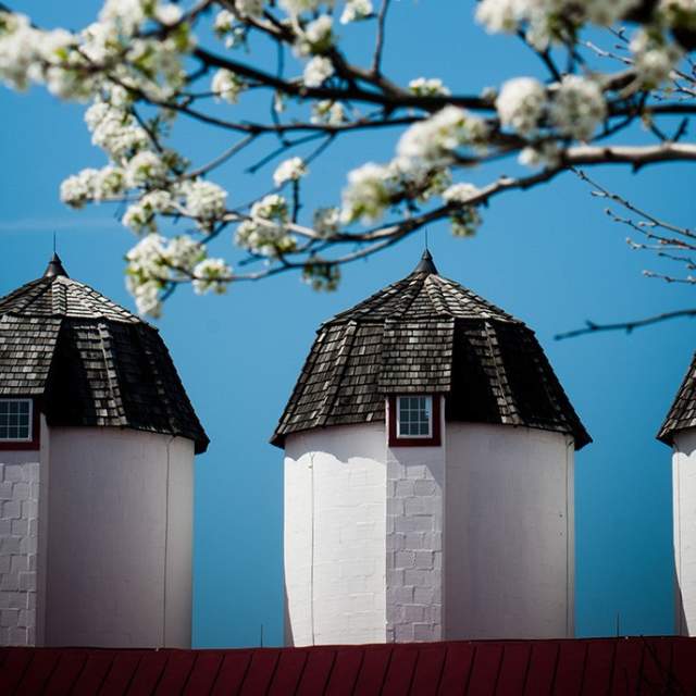 Normandy Farm Hotel and Conference Center