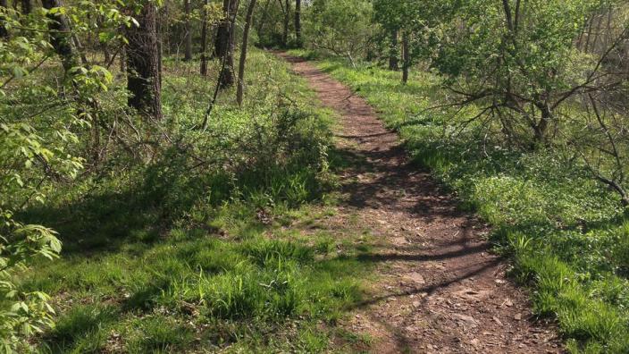 Evansburg State Park - Open Fields