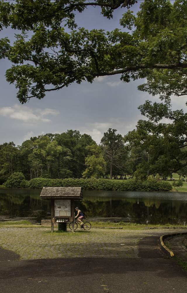 Green Lane Park