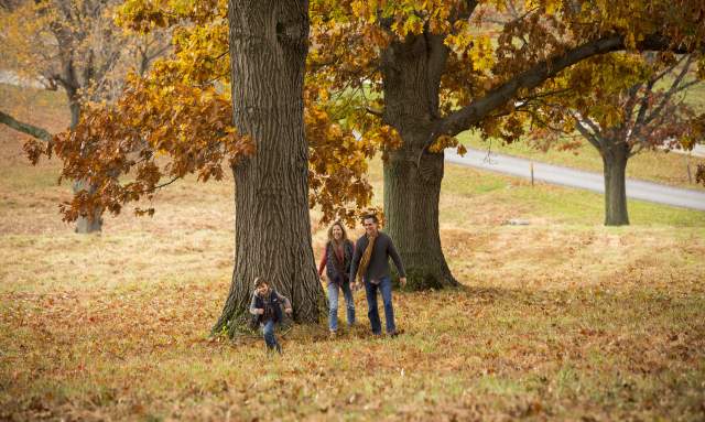 fall