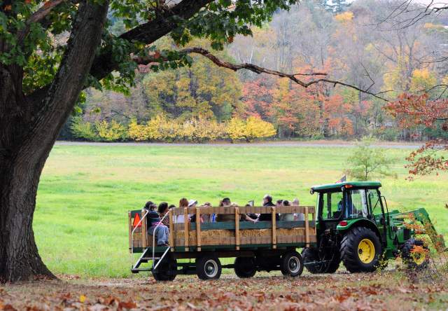 15+ Festivals & Events Happening This Fall in Montco