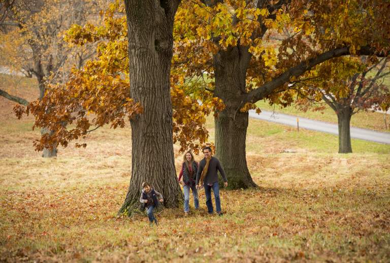 fall