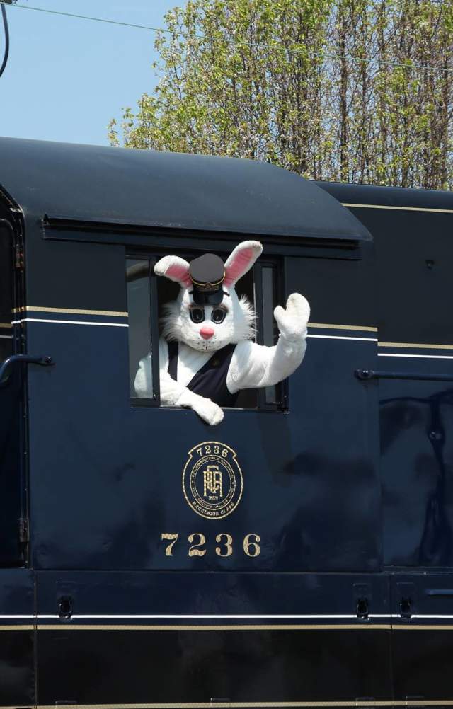 Colebrookdale Railroad Easter Bunny Conductor
