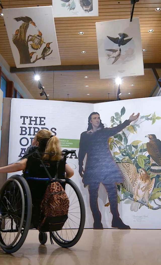 A woman in a wheelchair is pictured (center) with her guide dog and tour guide inside the John James Audubon Center Birds of America exhibit. They are facing the signage with their backs to the camera.