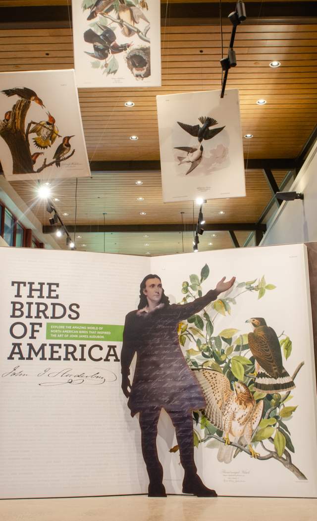 Spring Break Educational Experiences in Montco