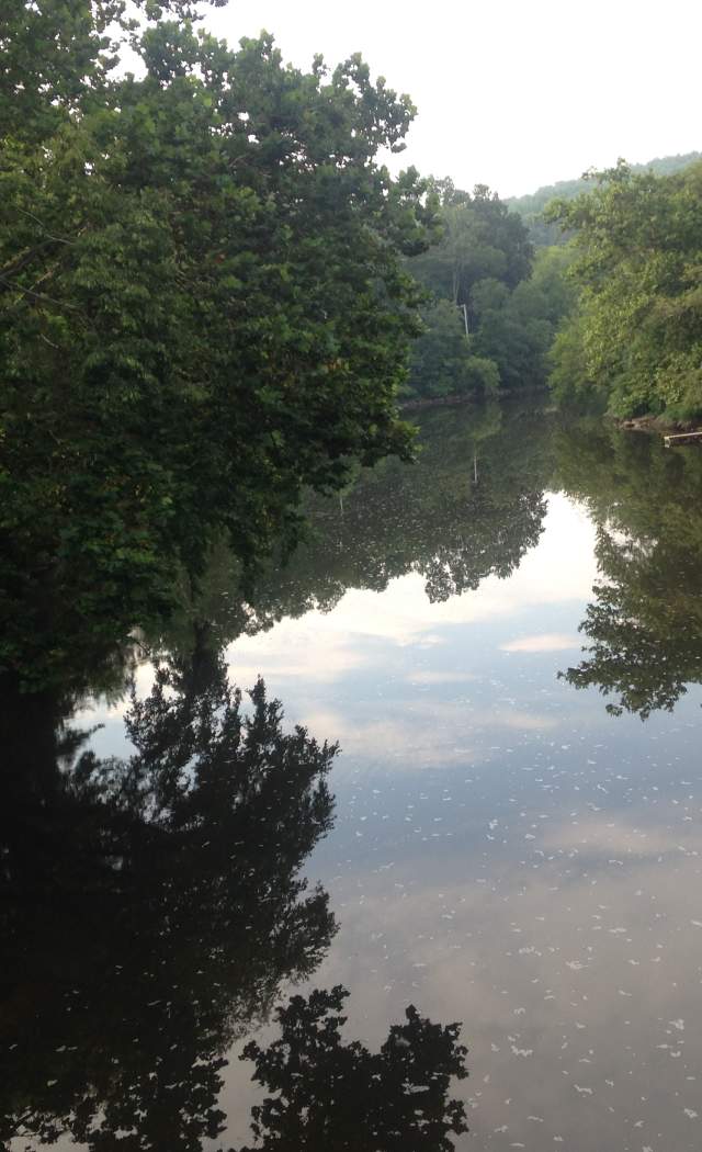 My first look at the Perkiomen Creek on my ride.