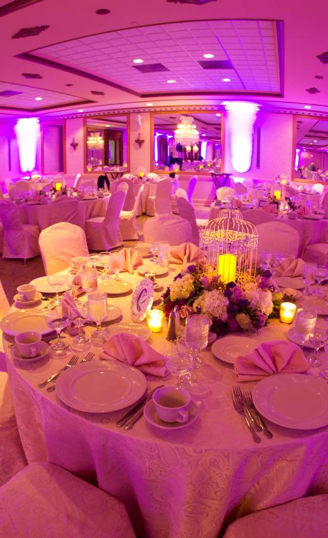 Signature DJ's Uplighting