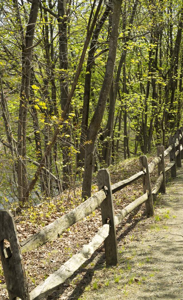 The Perkiomen Trail is one of the longest and most scenic in Montco.
