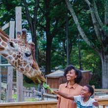 Elmwood Park Zoo