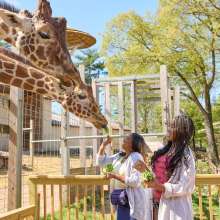 Elmwood Park Zoo
