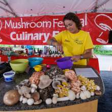 Kennett Mushroom Festival