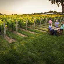 Vala Vineyard Winery