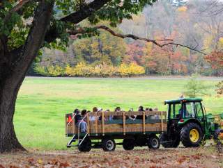 15+ Festivals & Events Happening This Fall in Montco