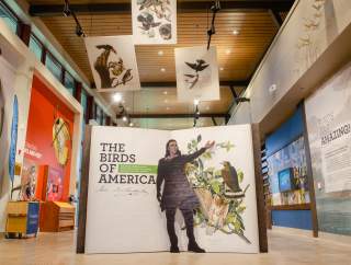 Spring Break Educational Experiences in Montco