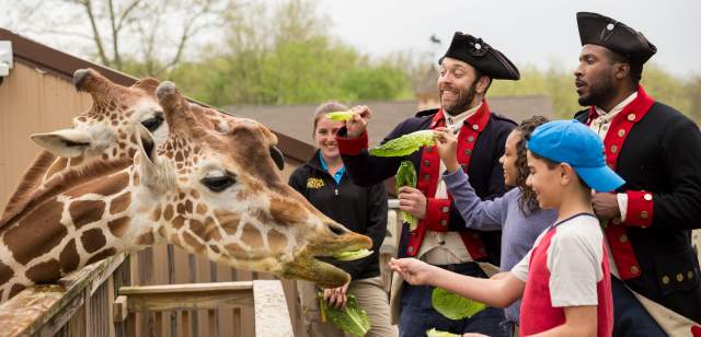 Five Animal Adventures in Montgomery County