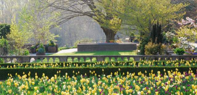 Montco Wellness Garden