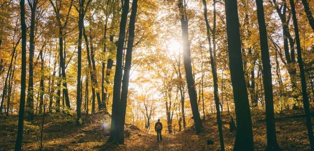 Take a Hike: 4 Hiking Trails for Beginners in Montgomery County