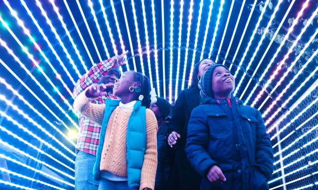 wild lights family zoo