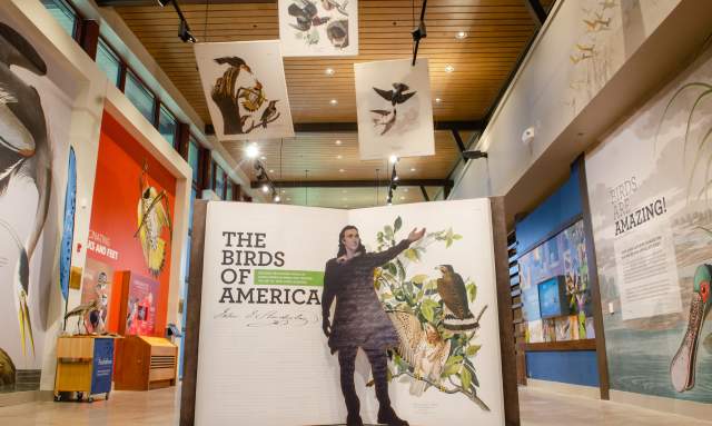 Spring Break Educational Experiences in Montco