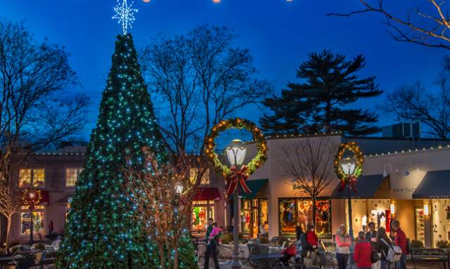 Suburban Square Town Tree