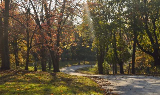 FORT WASHINGTON STATE PARK TRAIL