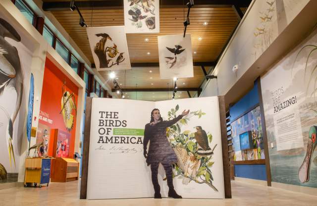 John James Audubon