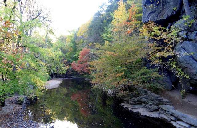 Pennypack Park