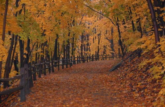 Fall foliage along the Perkiomen Trail in Montgomery County, PA
