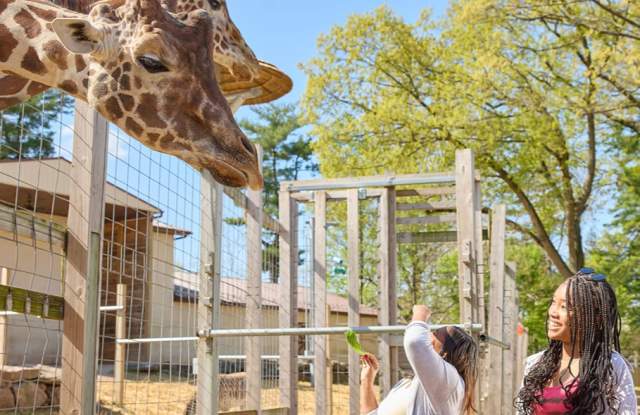Spring Zoo Photoshoot Copy