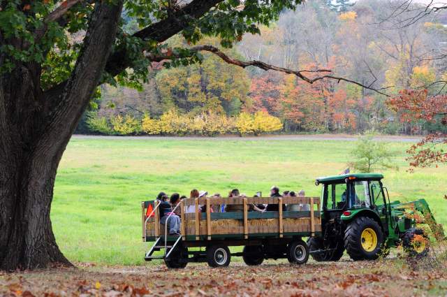 15+ Festivals & Events Happening This Fall in Montco