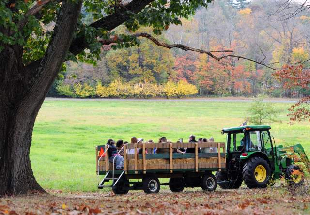 15+ Festivals & Events Happening This Fall in Montco