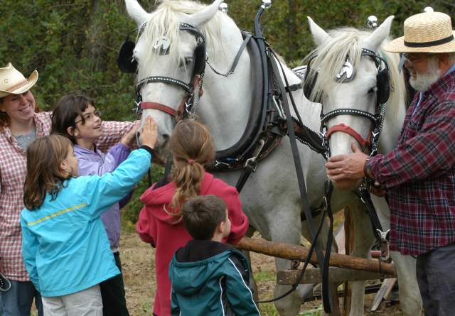 Mennonite Heritage Center Apple Butter Frolic