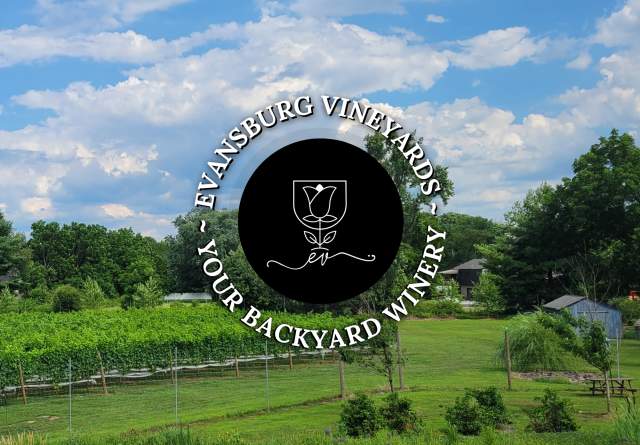 Evansburg Vineyards traditional black logo with their slogan "Evansburg Vineyards Your Backyard Winery" centered over a photo of the vineyards