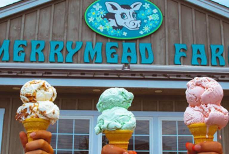 Where to Find the Best Ice Cream in Montgomery County, PA