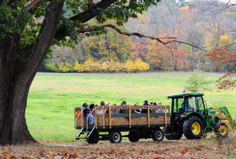 15+ Festivals & Events Happening This Fall in Montco