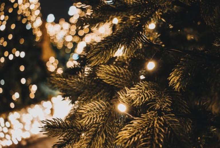 Where to Find the Perfect Christmas Tree in Montco