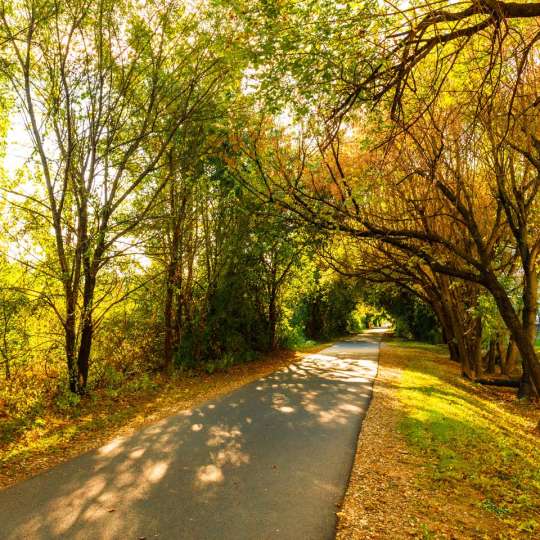 Schuylkill River Trail