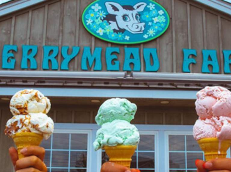 Where to Find the Best Ice Cream in Montgomery County, PA