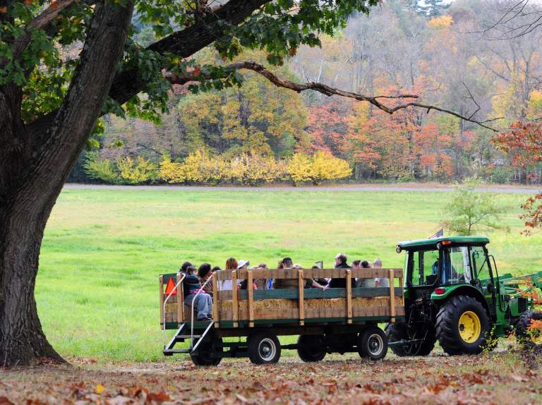 15+ Festivals & Events Happening This Fall in Montco