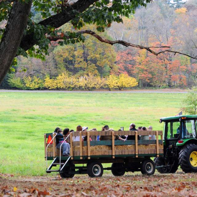 15+ Festivals & Events Happening This Fall in Montco