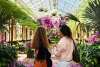 Longwood Conservatory