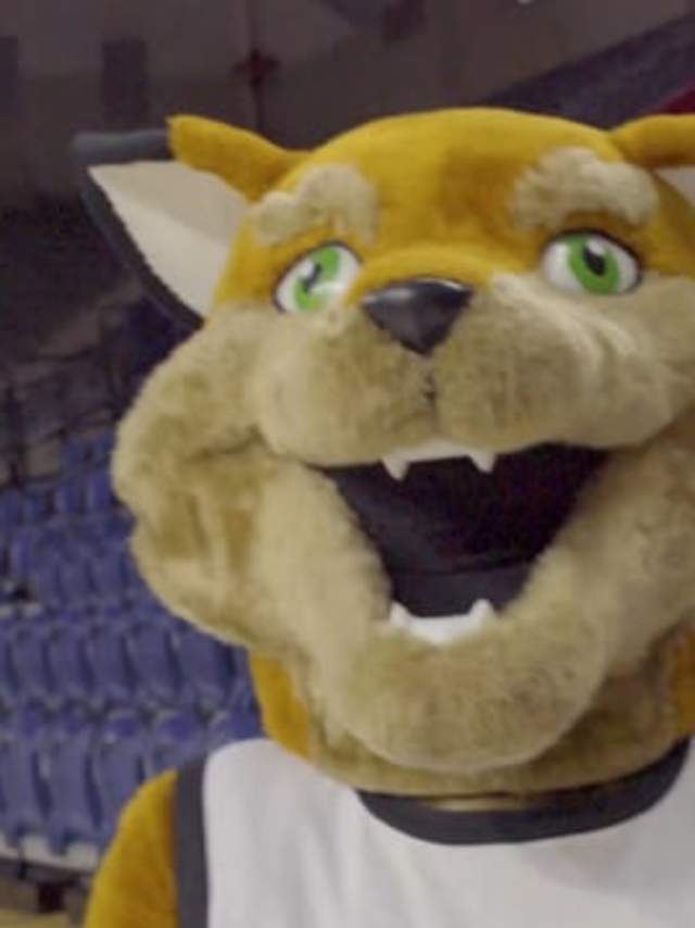 Monty the Fox Meets the Penn Quaker