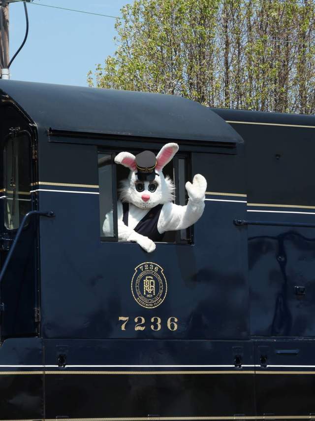 Colebrookdale Railroad Easter Bunny Conductor