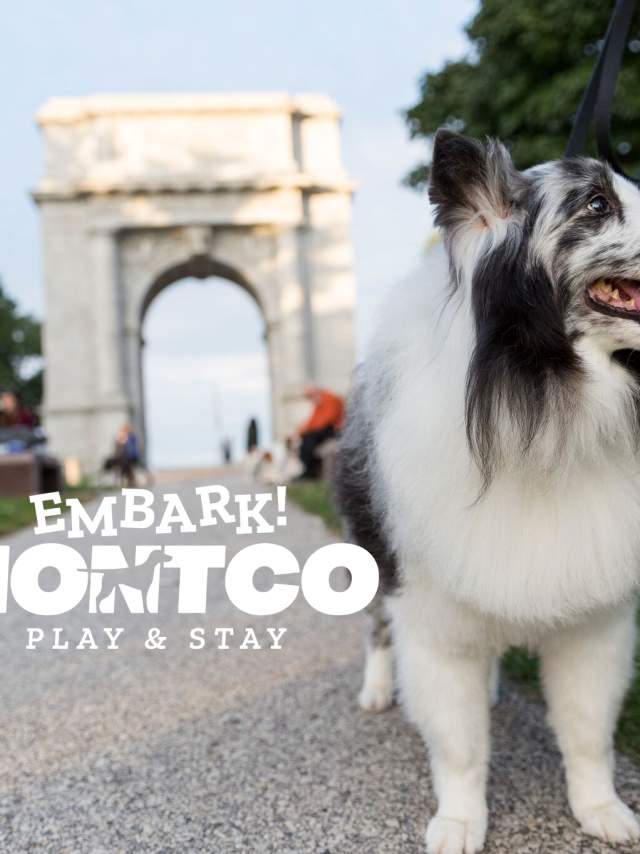 Embark Montco Arch