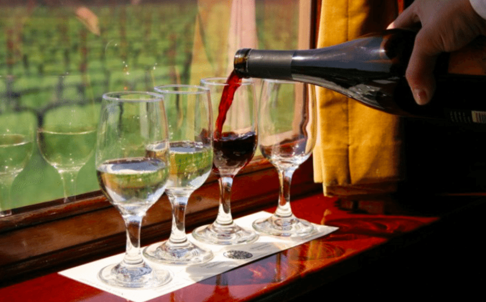 wine tasting