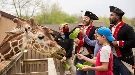 zoo