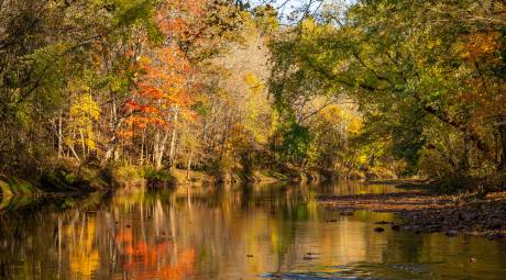 Evansburg State Park fall foliage